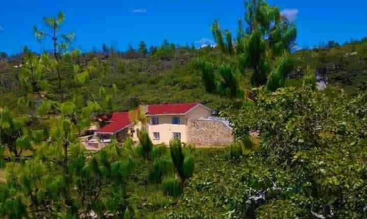 Nyanga